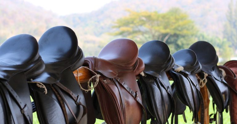 The Ultimate Buyer’s Guide to Purchasing a Saddle