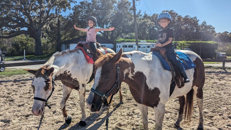 Introducing Your Children to Horses: A Beginner’s Guide