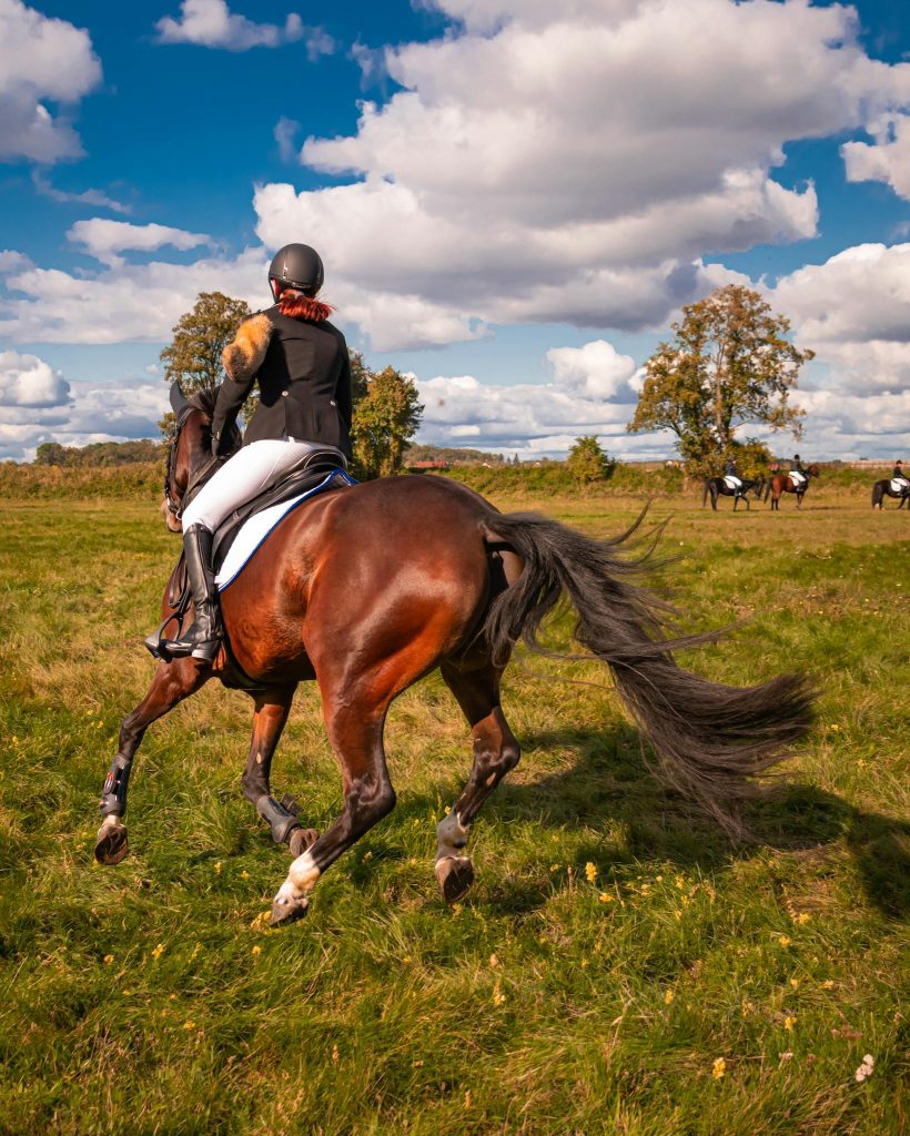 Riding Saddle